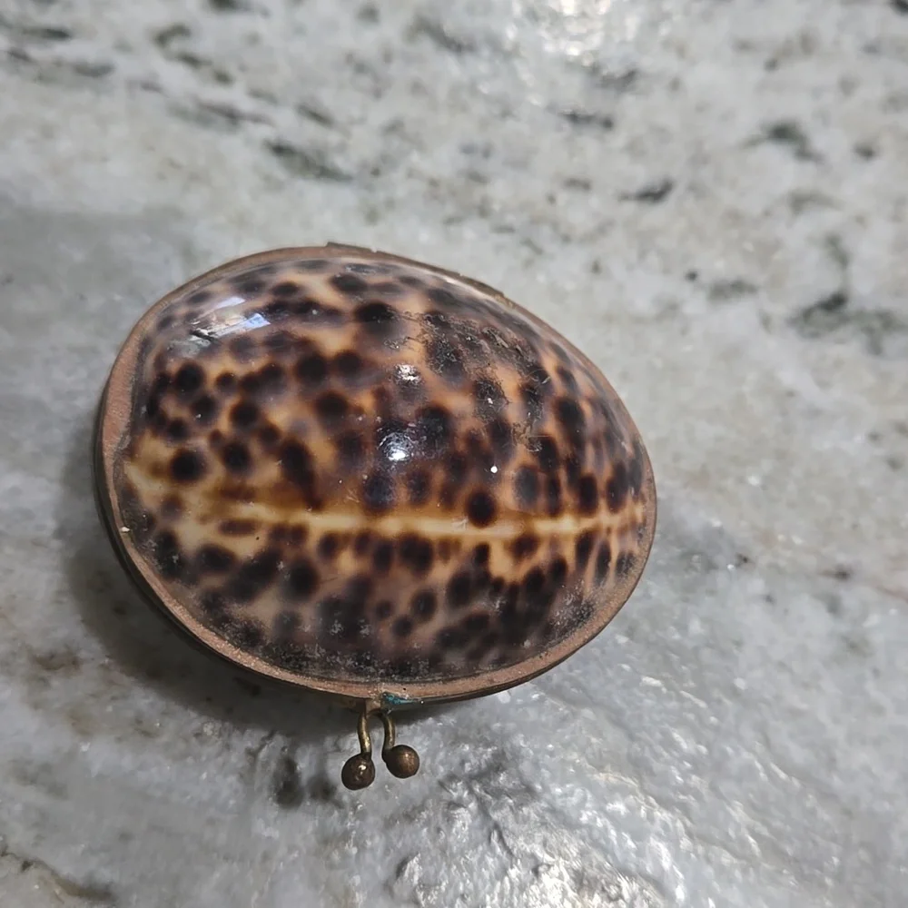 Shell Trinket Box - Picture 2 of 6
